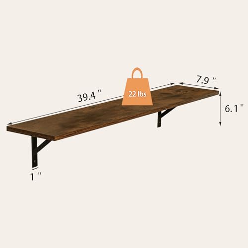 Long Wall Shelves (2 Count)