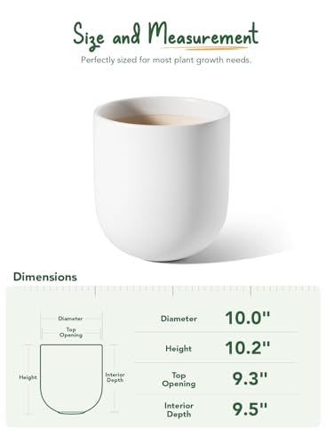 10 Inch Plant Pot