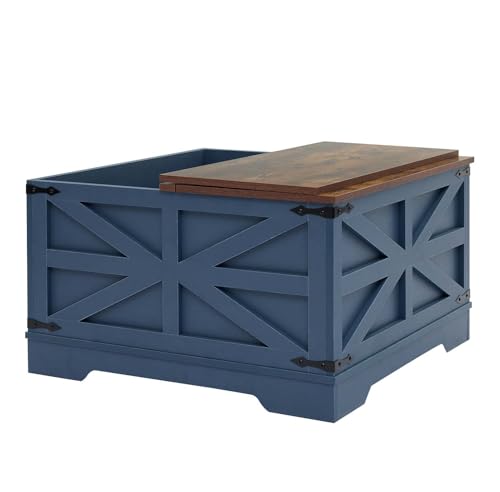 Blue Coffee Table with Storage