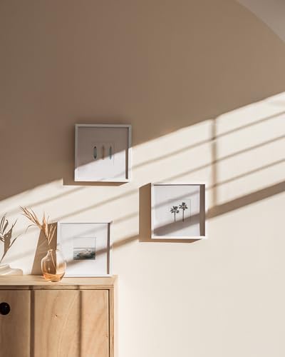 8x8 White Metal Picture Frames Matted to 4x4