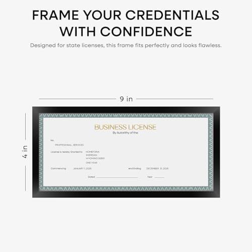 4x9 Black Business License Frame (3 Count)