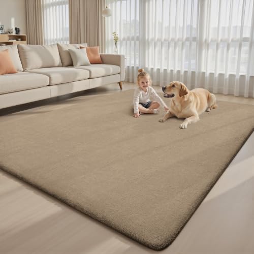 4x6 Area Rugs for Living Room Bedroom