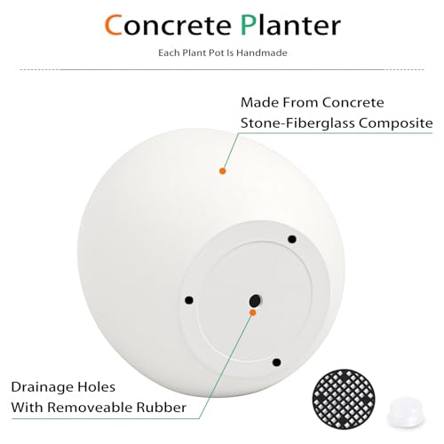 Ball Concrete Planter Outdoor Indoor