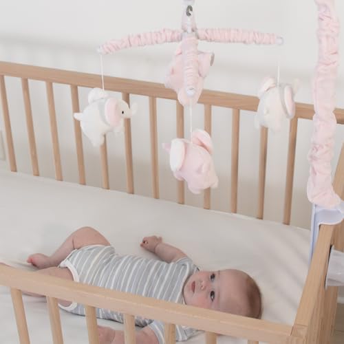 Crib Mobile for Girls