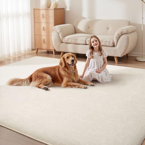 4x6 Area Rugs for Living Room Bedroom (24 Sq Ft)