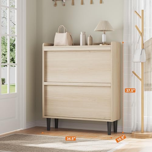 Shoe Cabinet with 2 Flip Drawers
