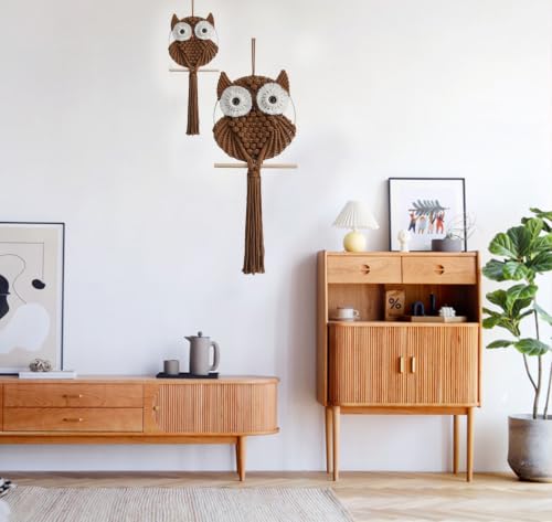 Owl Macrame Wall Hanging