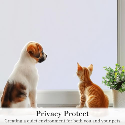 Window Privacy Film