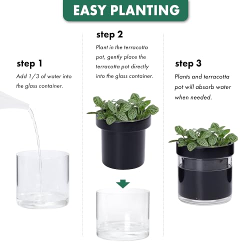 4 Inch Self Watering Planter Pot (3 Count)