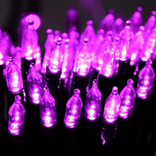 2 Pack Purple Halloween Lights