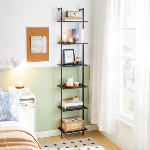 DIY Ladder Shelf