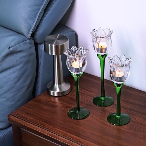 Tulips Clear Candle Holder Holder Set of 3 (3 Count)