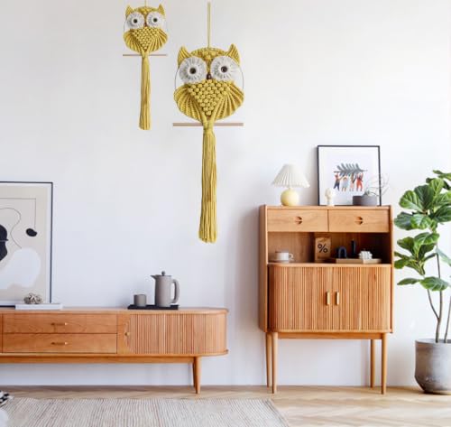 Owl Macrame Wall Hanging