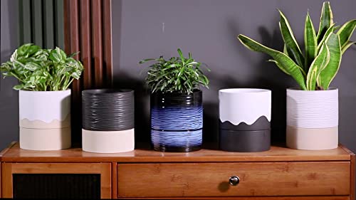 Ceramic Self Watering Plant Pot for Indoor Plants