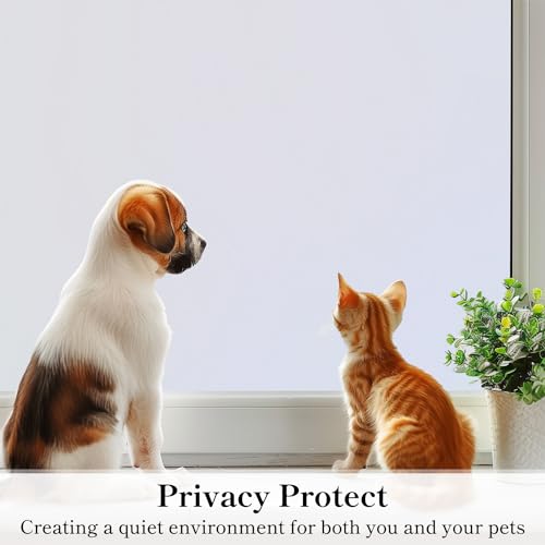 Window Privacy Film