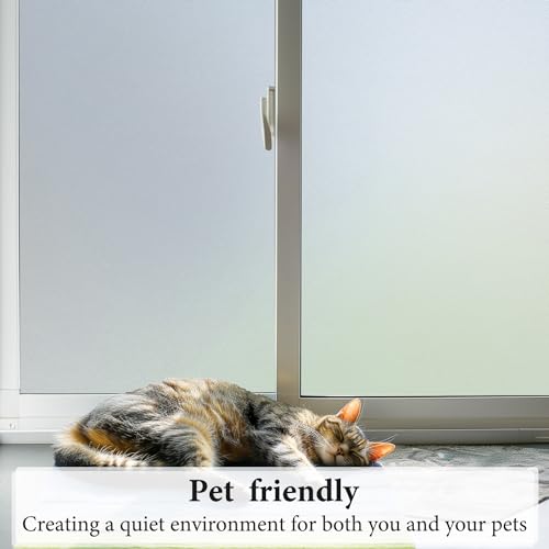 Window Privacy Film (12.89 Sq Ft)