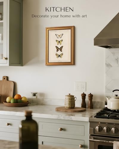 Vintage Gold Framed Butterfly Wall Art (4 Count)