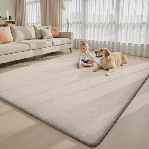 5x7 Area Rugs for Living Room Bedroom