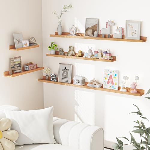 Picture Ledge Shelf