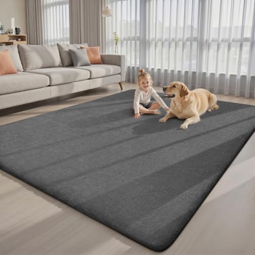 4x6 Area Rugs for Living Room Bedroom (24 Sq Ft)