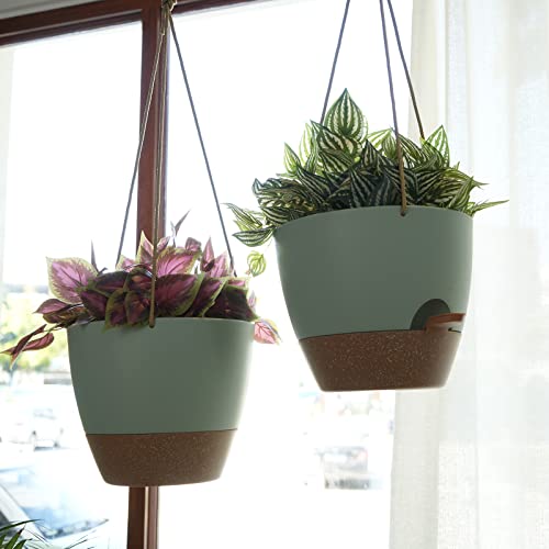 8 inch Hanging Planters (2 Count)