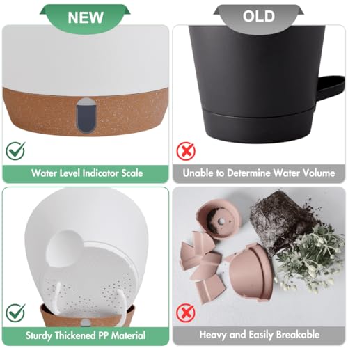 2 Pack 10 inch Plant Pots (2 Count)