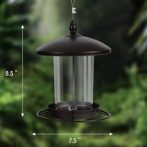 Metal Roof Bird Feeder