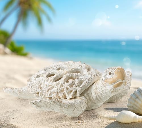 Ocean White Sea Turtle Coral Reef Beach Coastal Home Shelf Decor