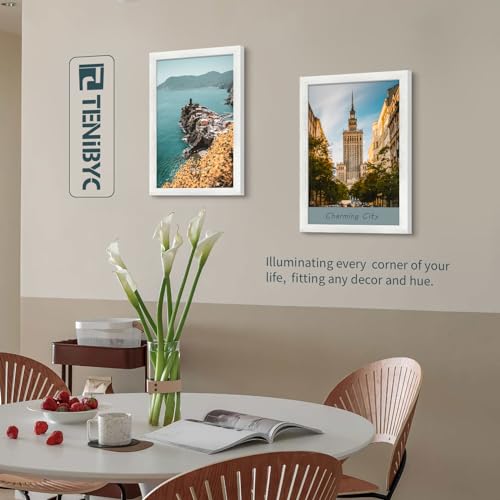 12x18 Poster Frame 3 Pack (3 Count)