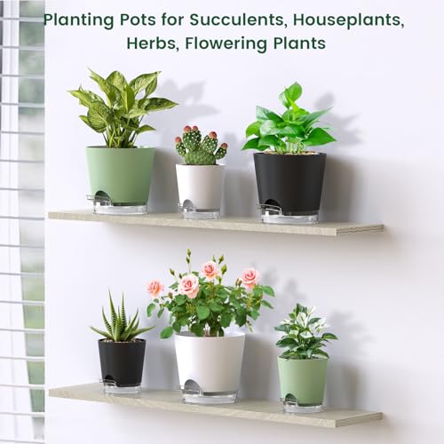 4 inch Self Watering Pots for Indoor Plants (5 Count)
