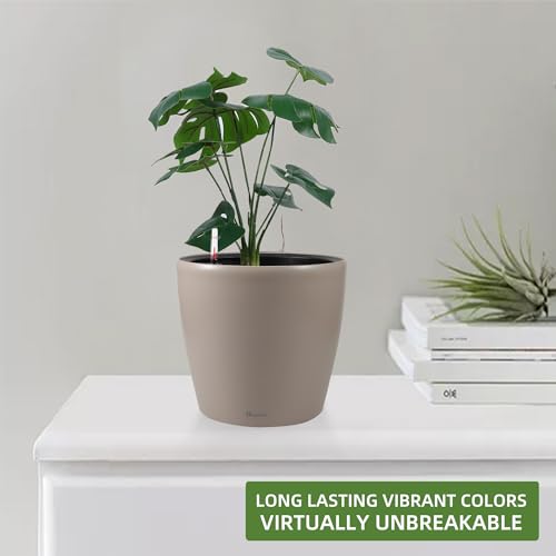 11x10 Self Watering Planter