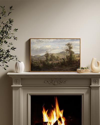 Framed Canvas Wall Art Vintage Decor