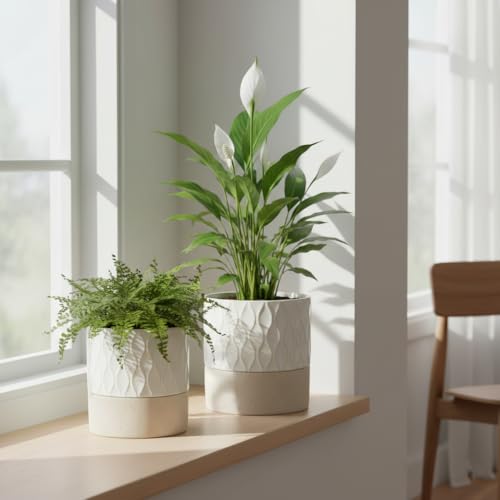 Ceramic Self Watering Plant Pot for Indoor Plants