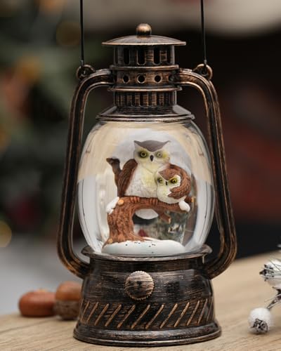 Snow Globe Christmas Decorations