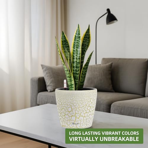 9x8 Self Watering Planter