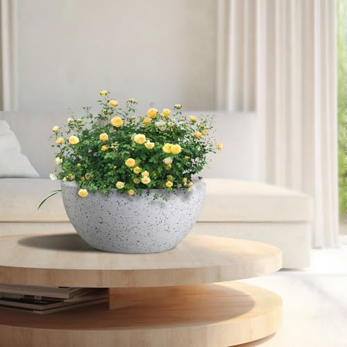 10 inch Hanging Planters for Outdoor Indoor Plants with Drainage Holes and Chain (2 Count)