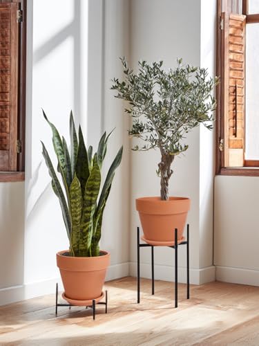 12 Inch Terracotta Pot Set of 2 with Saucer (2 Count)