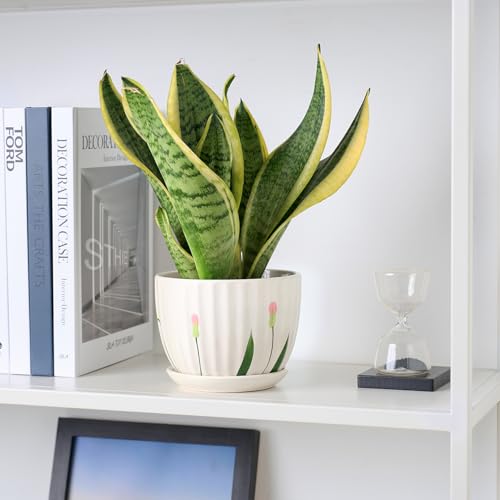4/5/6 Inches White Ceramic Plant Pots with Drainage Holes and Saucer
