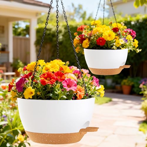10 Inch Hanging Baskets 2 PC with Chains (2 Count)