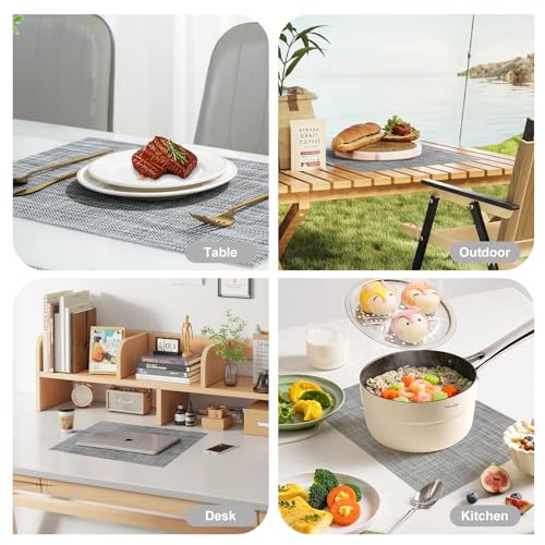 Placemats Set of 12 (12 Count)