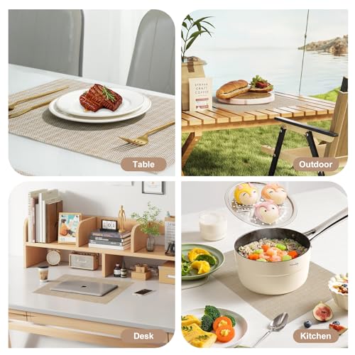Placemats Set of 8 (8 Count)