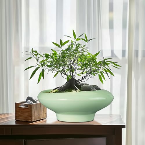 Ceramic Bonsai Pots