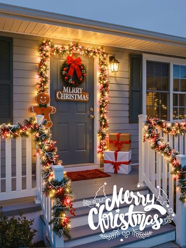 Red and Clear Christmas Lights (13 Foot)