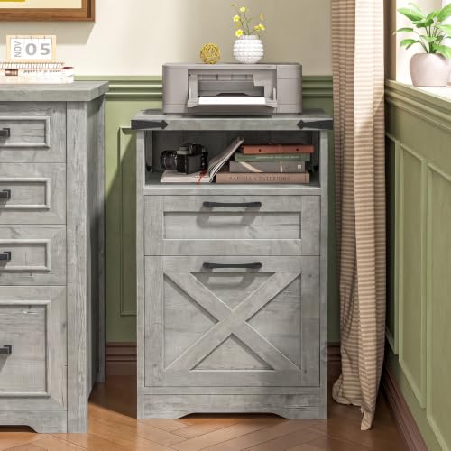 Office Filing Vertical Cabinet with 2 Drawers