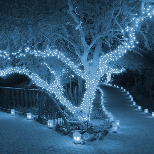 300 LED Christmas String Lights