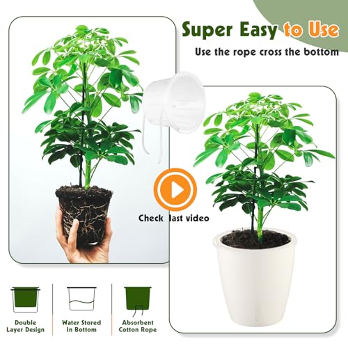 Self Watering Pots for Indoor Plants