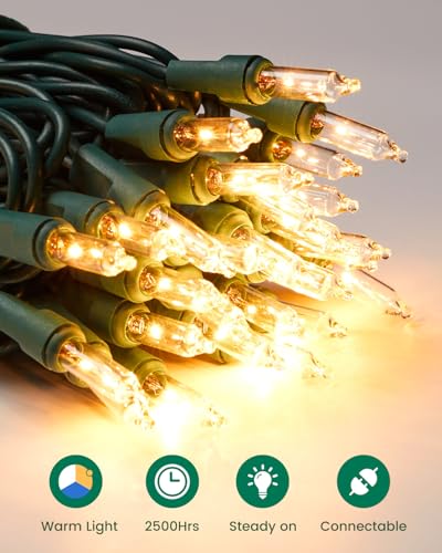 Clear Christmas String Lights 100 Count 20 Feet Incandescent Bulb (25 Foot)