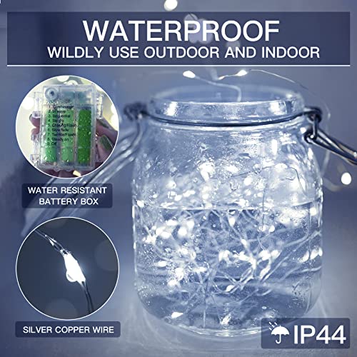 33ft 100 LED Outdoor String Lights