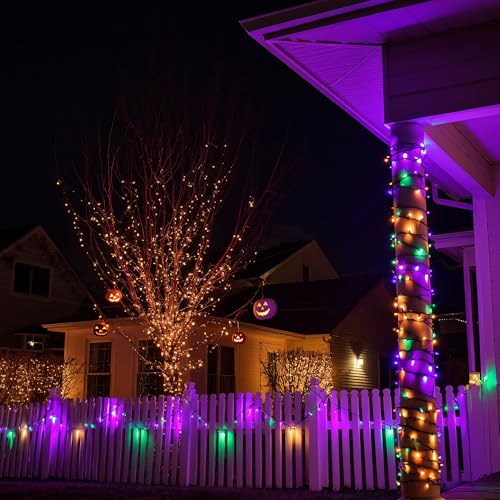 Purple Orange and Green Halloween Lights (20 Foot)