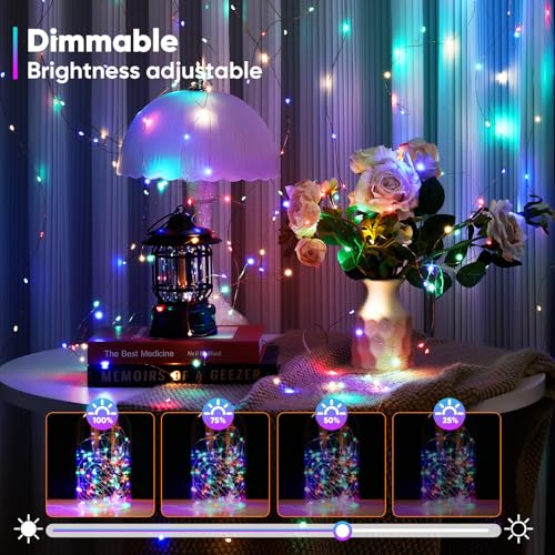 1 Pack 65.6 Ft. Battery Operated Outdoor String Lights with Remote & Timer